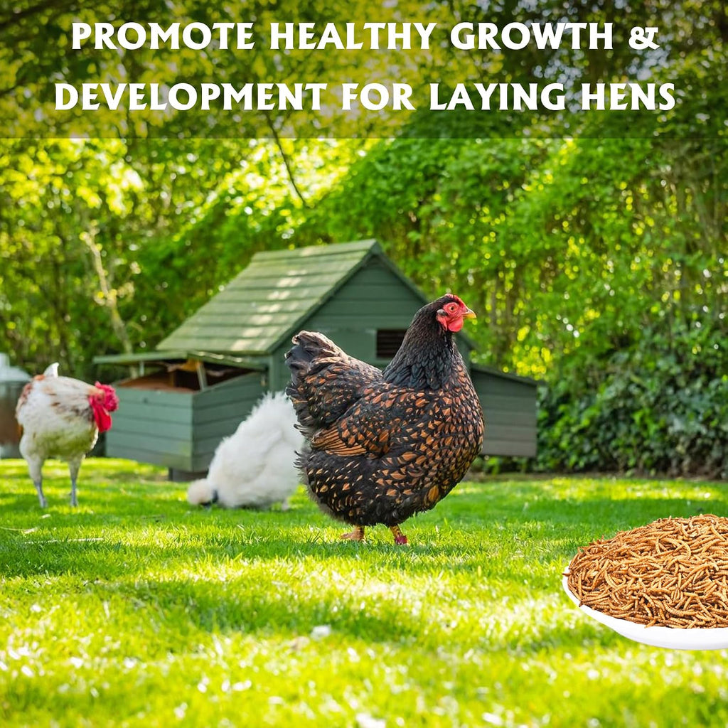 Dried Mealworms 10LB Meal Worms for Chicken Ducks and Wild Birds