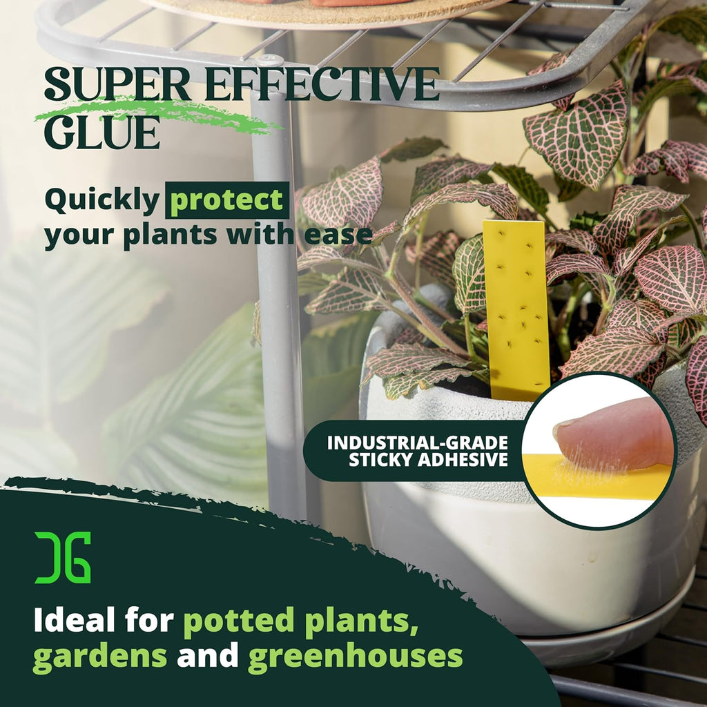 Dual Action Plant Labels 100 PK, Sticky Insect Trap Plant Stakes
