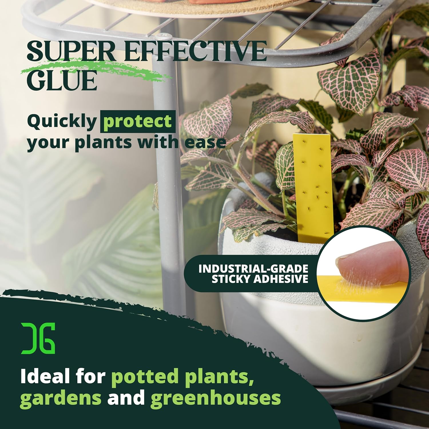 Dual Action Plant Labels 100 PK, Sticky Insect Trap Plant Stakes