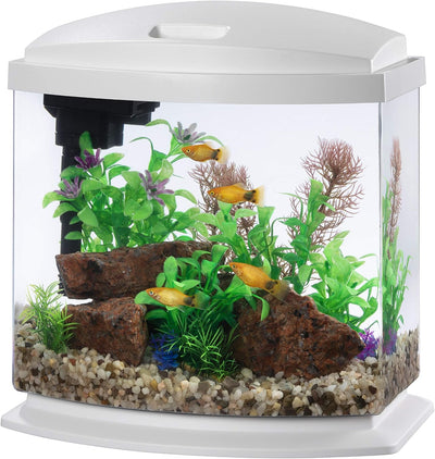 LED MiniBow Small Aquarium Fish Tank Kit with SmartClean Technology, White, 2.5 Gallon