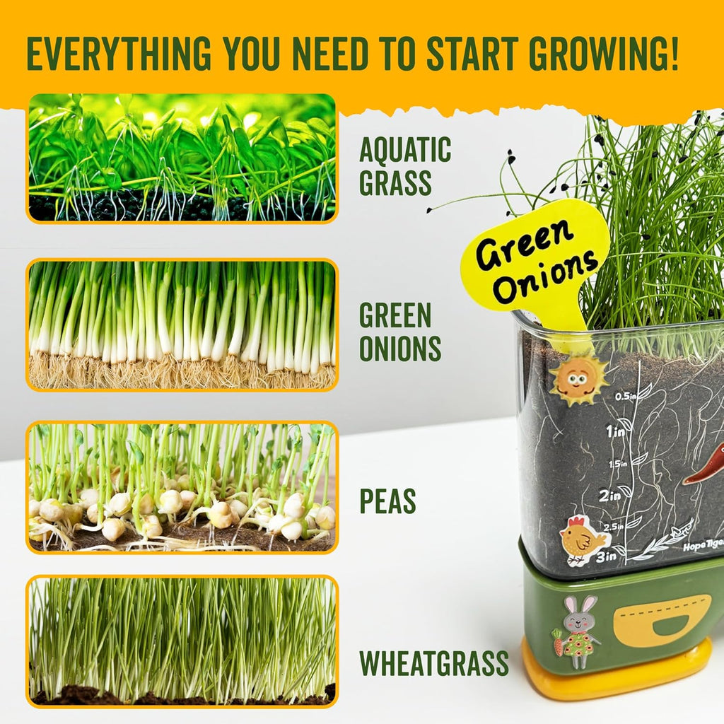 Gardening Root Viewer for Kids - Planting Kits with Seeds & Garden Supplies - Grow Your Own Seed - Home & Classroom