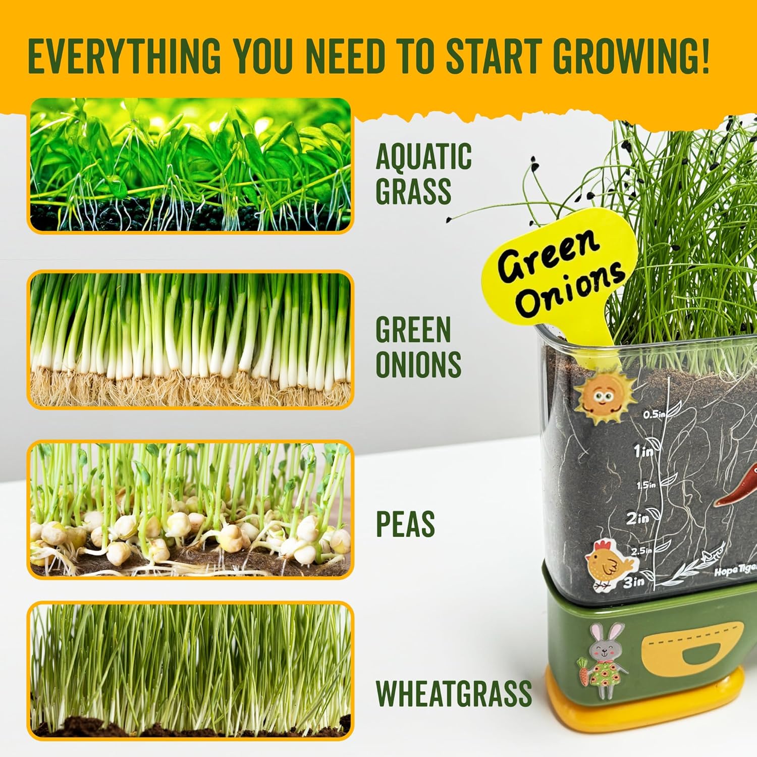 Gardening Root Viewer for Kids - Planting Kits with Seeds & Garden Supplies - Grow Your Own Seed - Home & Classroom