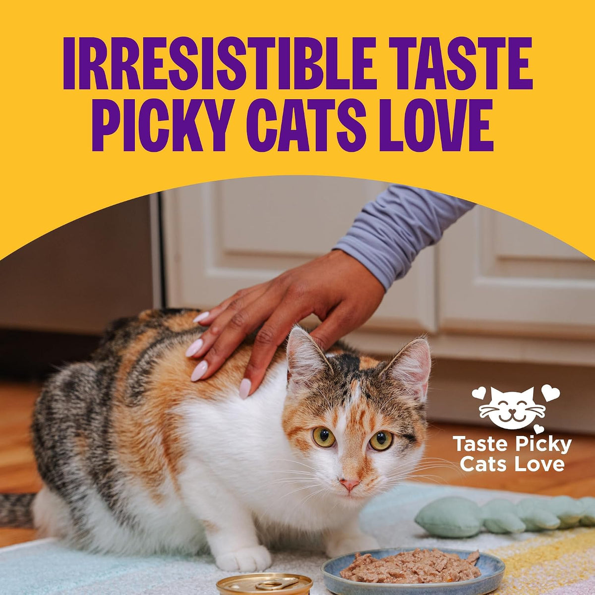Complete Health Pate Variety Pack Adult Canned Wet Cat Food, Natural, Protein Rich, Grain Free, Chicken and Turkey