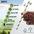 300-Pack Multi-Color Extra Durable Paper Straws - Biodegradable Premium Paper Straws for Juices, Restaurants and