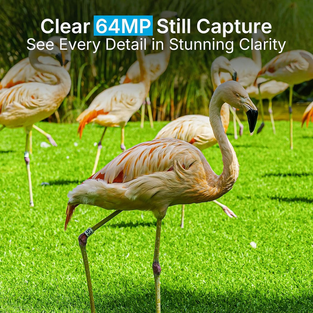 P70 (Non-Cellular,Non-WiFi) Trail Camera, 64MP 1296p, Game Cameras with No-Glow IR Night Vision, Motion Activated