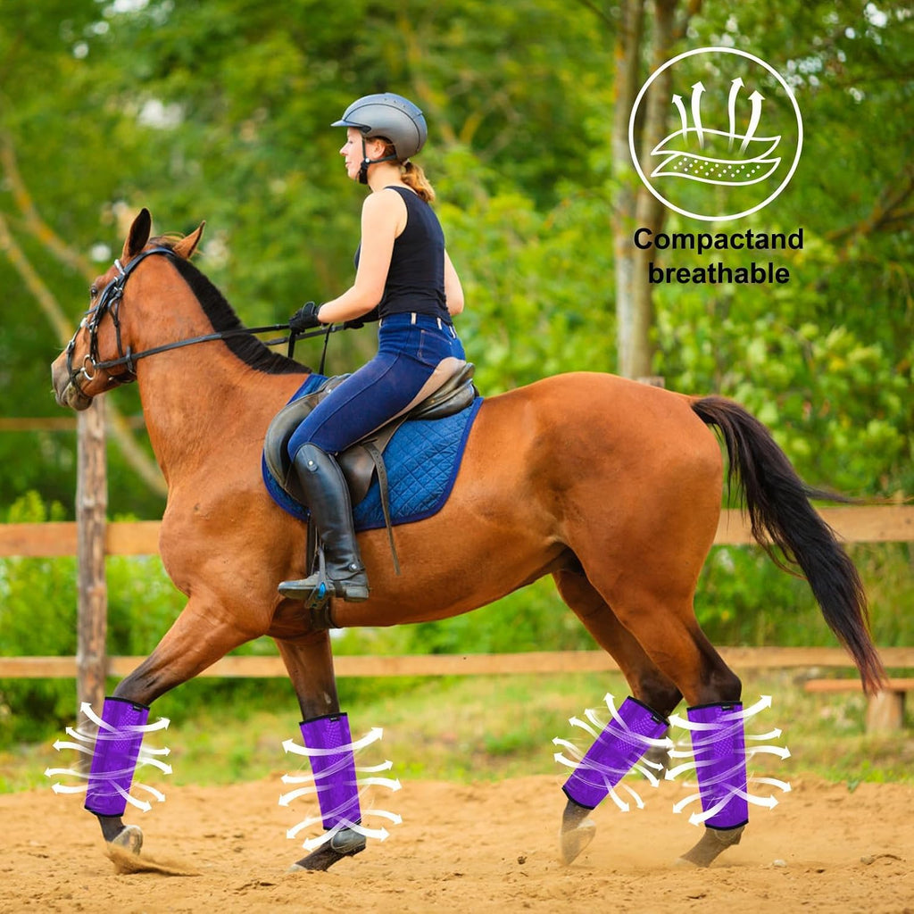 Horse Fly Boots, Breathable Mesh Protection Set of 4, Comfortable Horse Leggings, Breathable Mesh Design, Equine