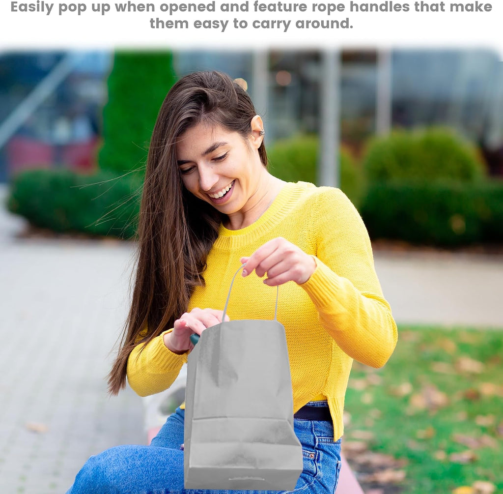 Novel Box Silver Gift Bags with Handles 10 Pack 6.5x3.5x6.5 Inches