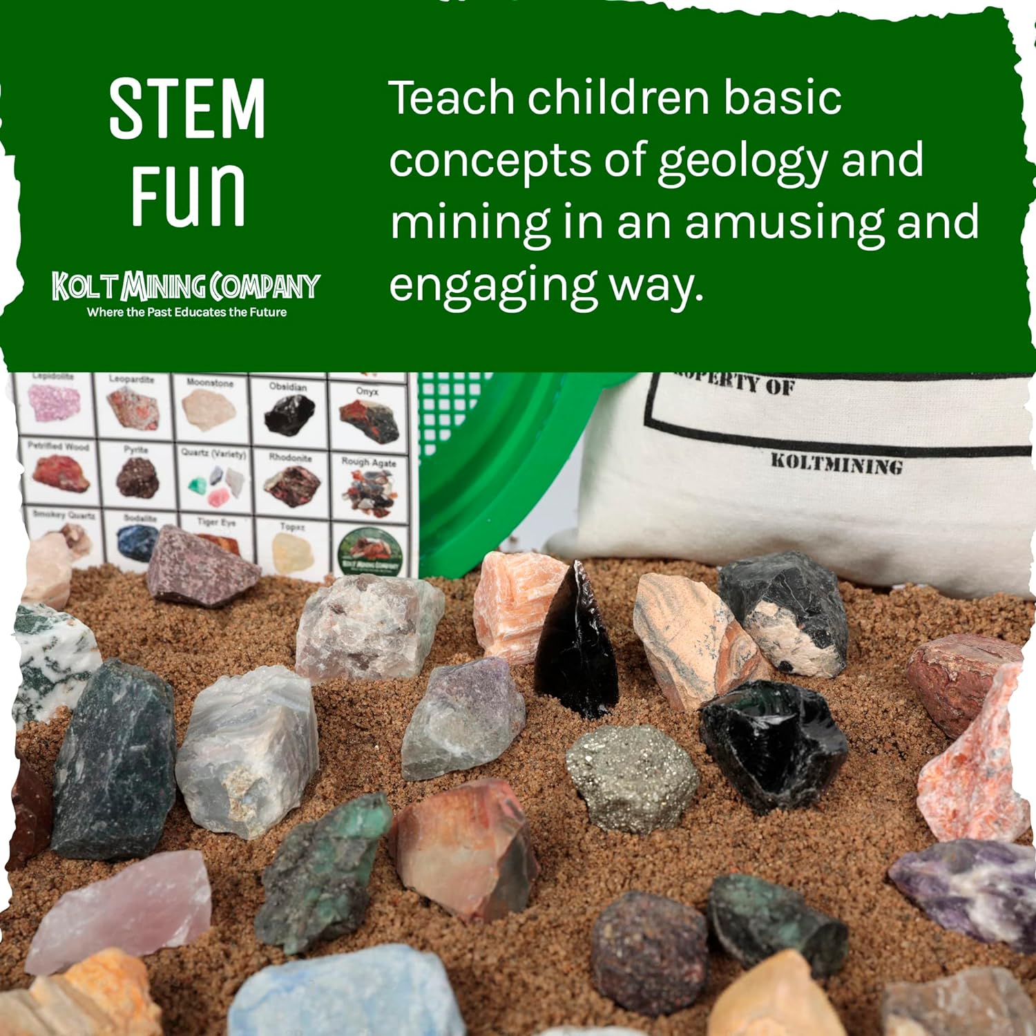 Adult Geology Kit: Rocks, Minerals, Fossils, Crystals & Shark Teeth