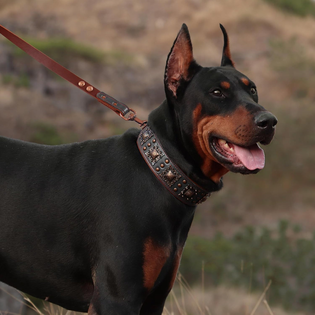 Genuine Leather Dog Collar, 2 inch Wide, Black,Neck 16-19"