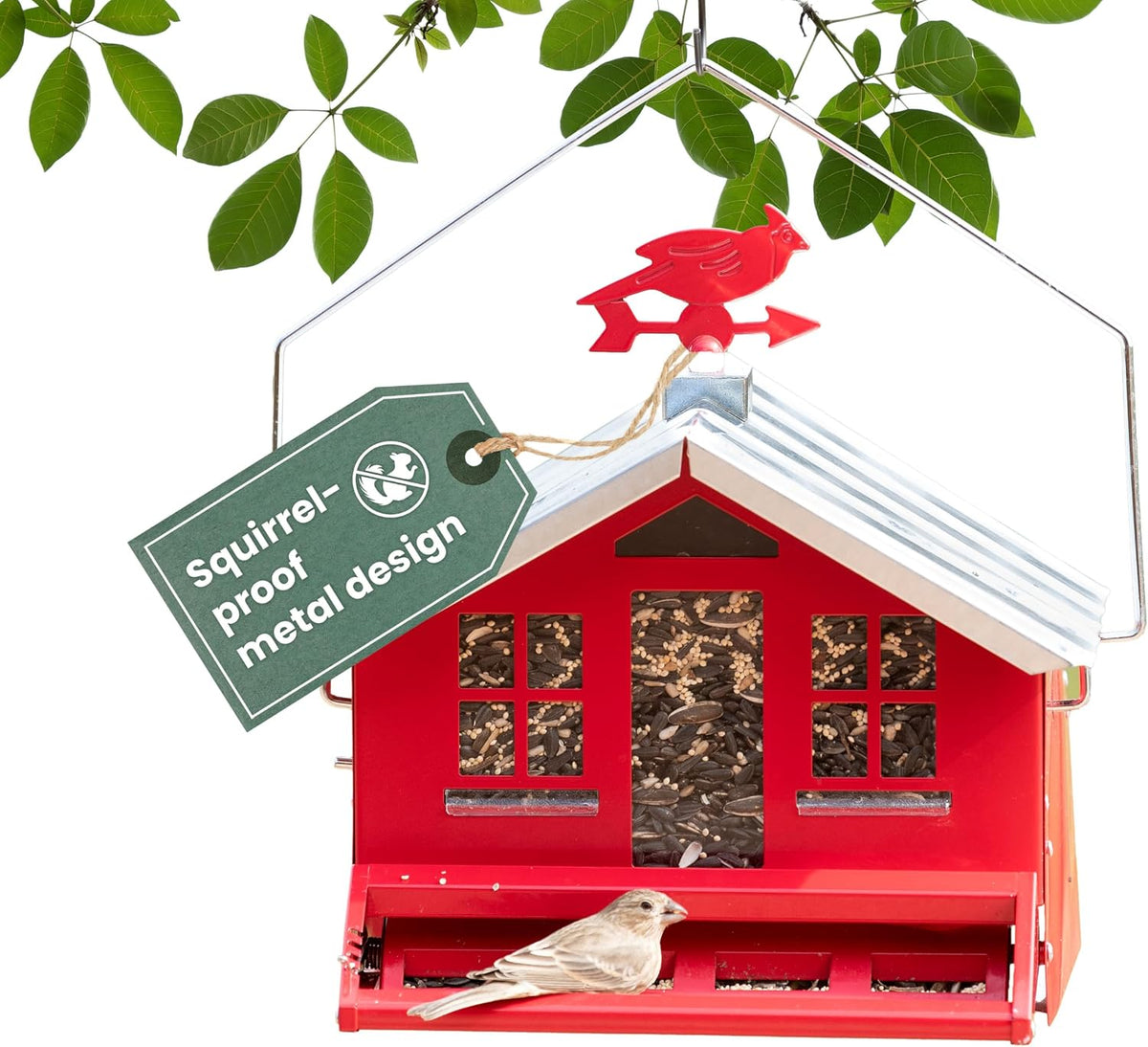 Squirrel-Be-Gone II Country Style Bird Feeder, 8 lb Seed Capacity