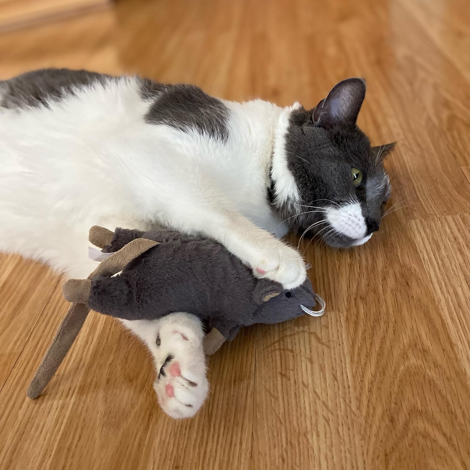 Big Mouse Bertha Cat Toy with Catnip – Lifelike Plush Mouse, Crinkle Sound, Large 7in Size, for Cuddling, Chasing