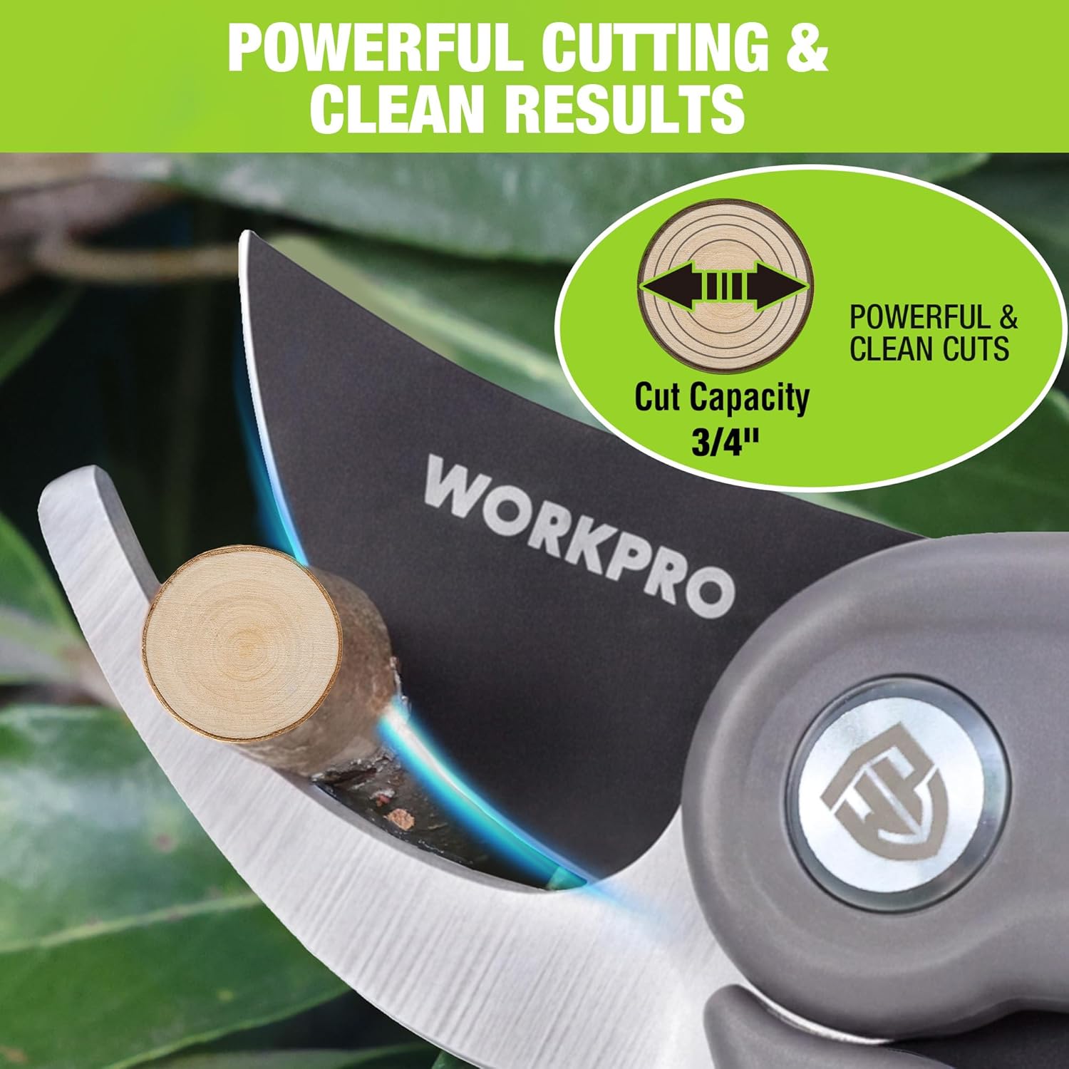Bypass Pruning Shears for Gardening, 8" Garden Scissors with Dual-Size Opening for Thin & Thick Branches, Garden