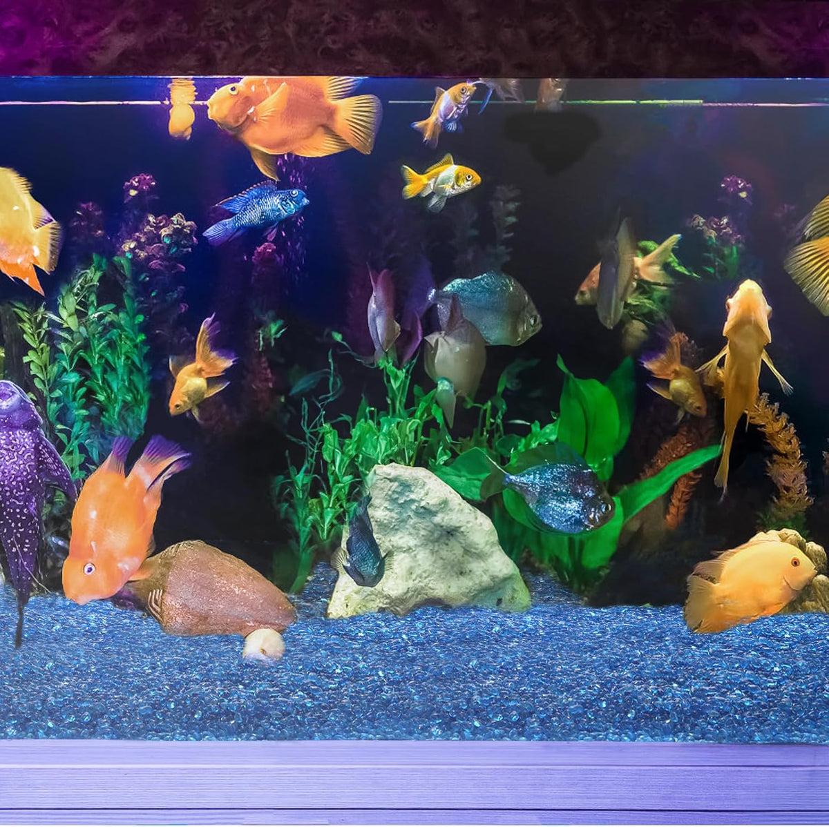 5LB Fish Tank Gravel, Polished Small Aquarium Substrate Gravel Sand, Blue Sea Glass Beads for Vases, Irregular