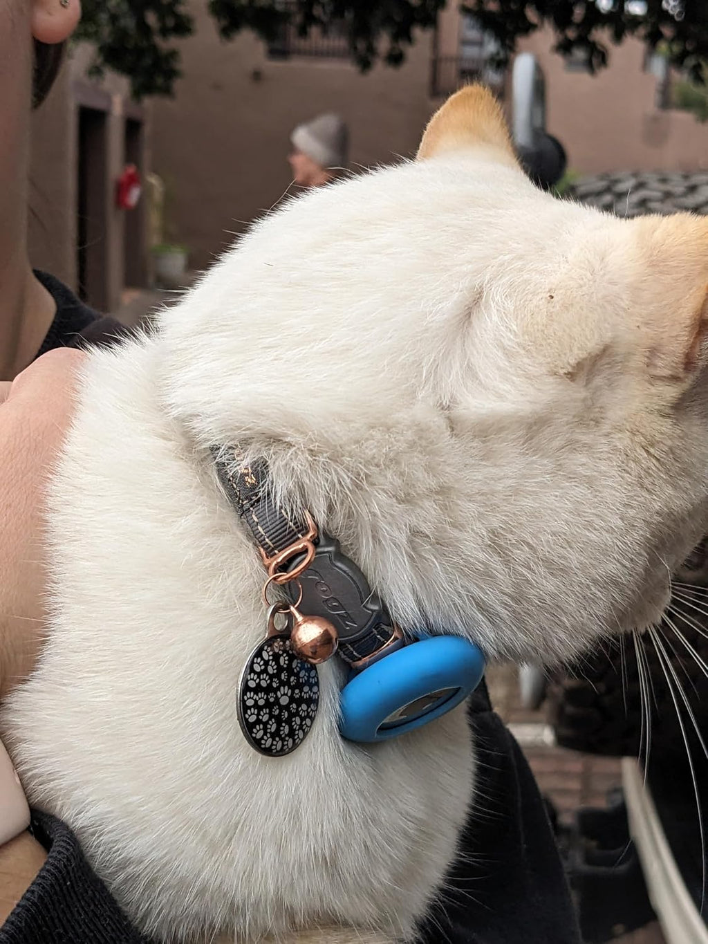 Urban Cat Safety Collar Small/Medium - Turquoise Moon