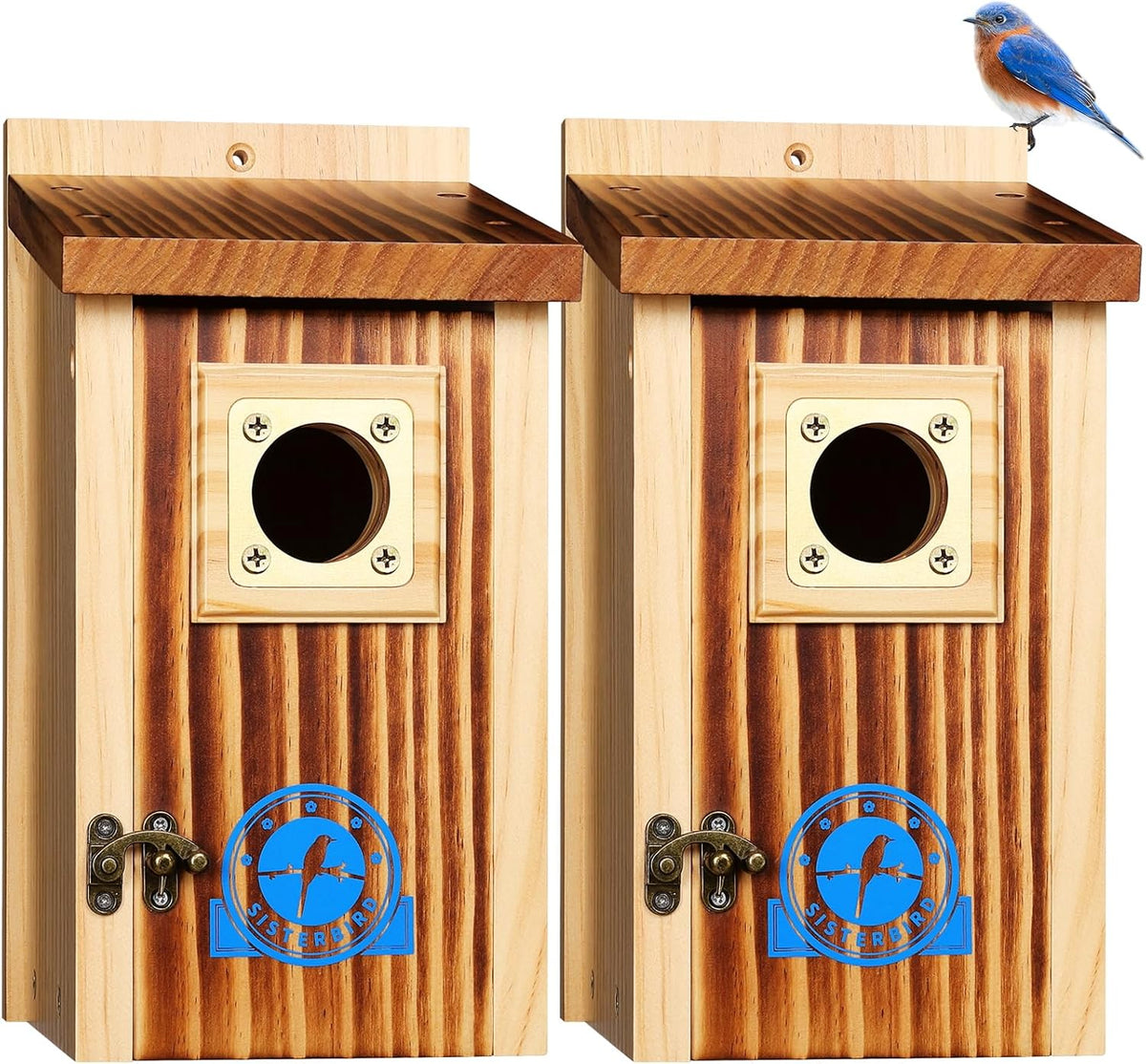 2 Pack Bluebird House, Premium Blue Bird House, Warming Gifts