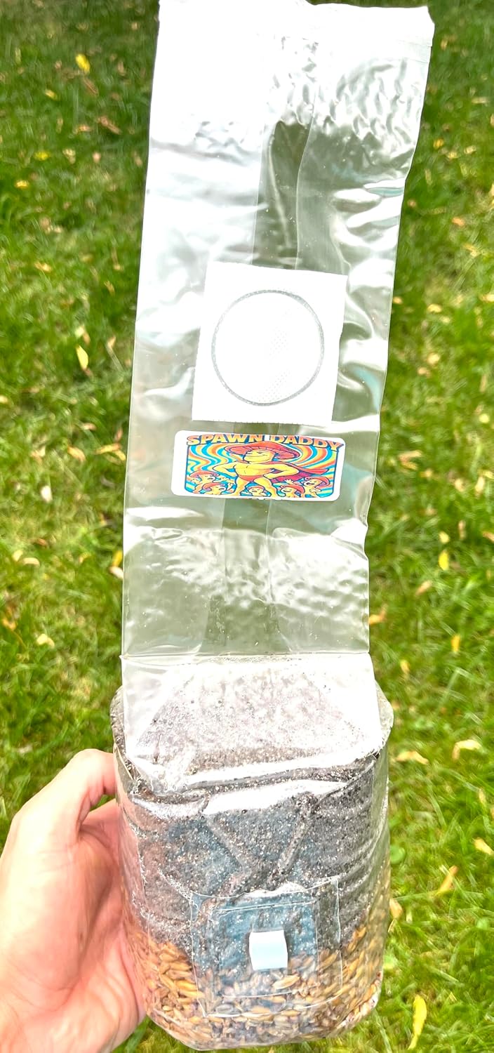 2 lb All-in-One Mushroom Grow Bag – Sterilized Triple Grain (Red Milo, Oats, Rye) with CVG Substrate & Azomite