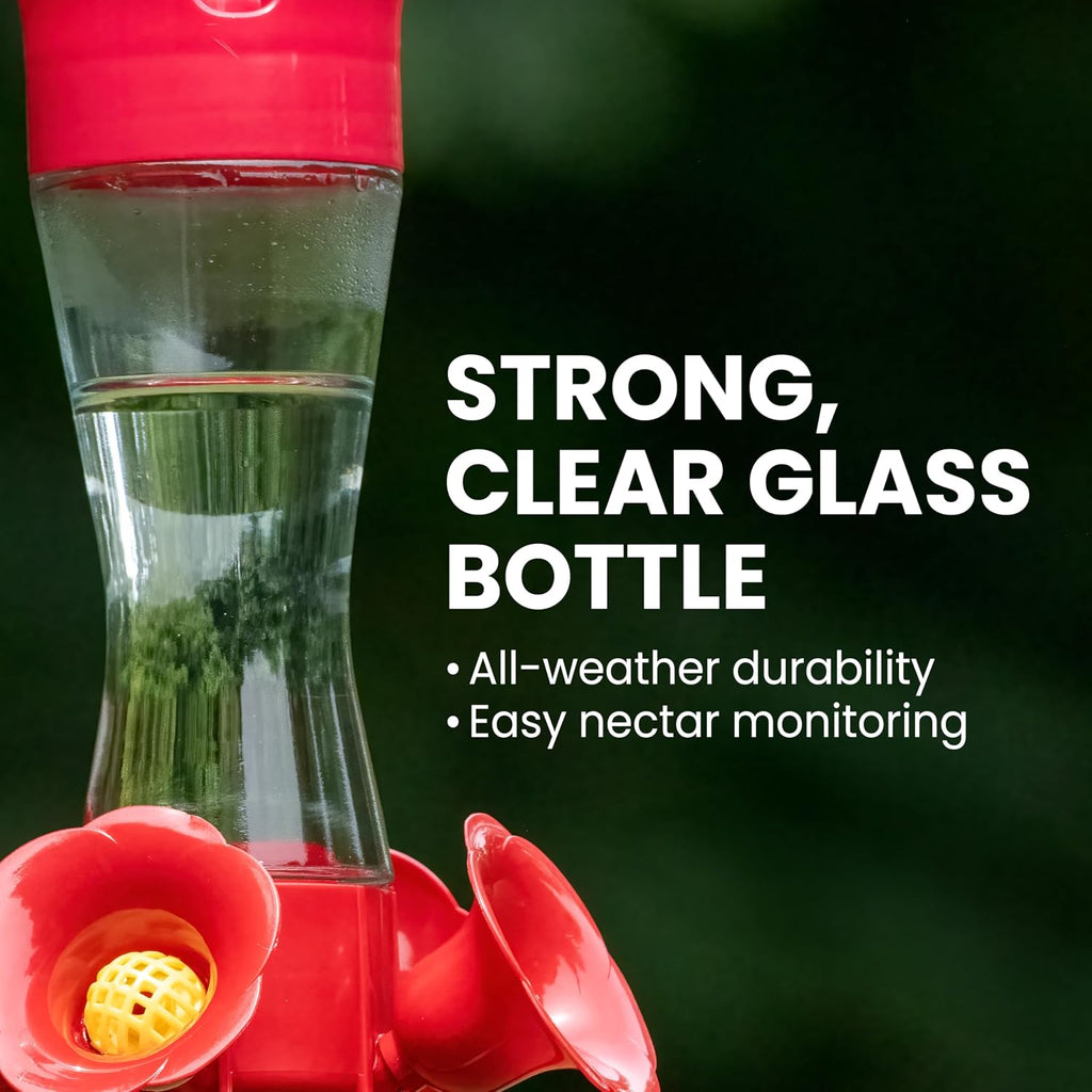 Glass Hummingbird Feeders for Outdoors, 8 oz Nectar Capacity