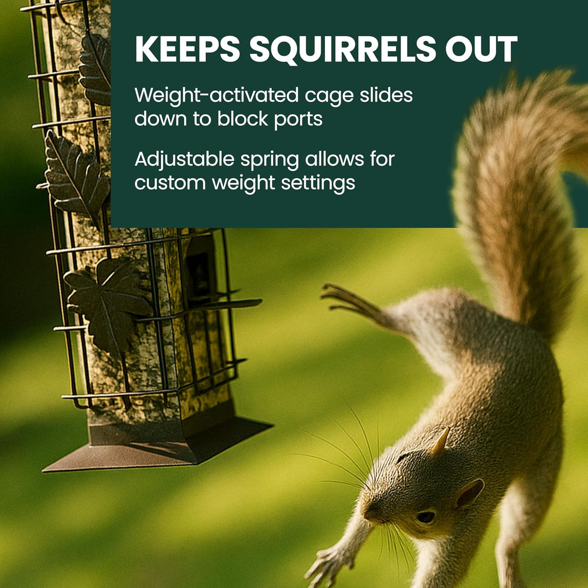 Squirrel-Be-Gone Bird Feeder, 2 lb Seed Capacity