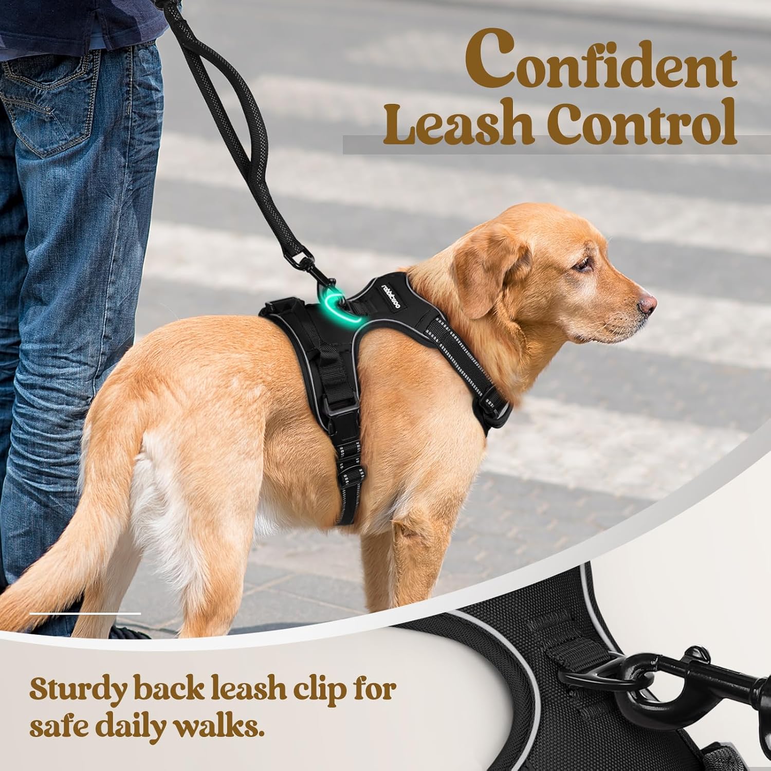 Dog Harness No Pull with 2 Leash Clips, Adjustable Soft Padded, Reflective Oxford No Choke Pet Vest with Easy Control