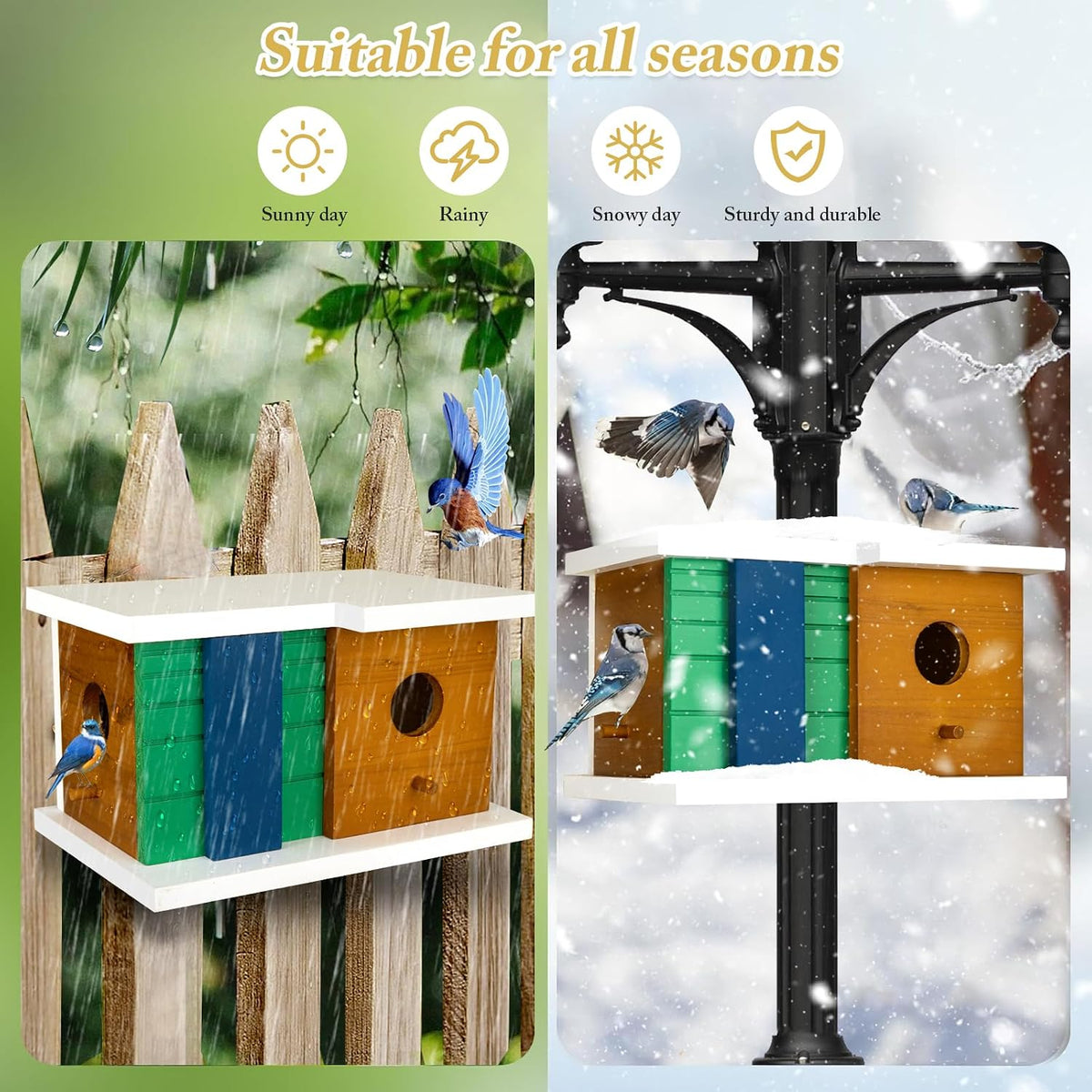 Wooden Birdhouse with 2 Entrances and Rear Access