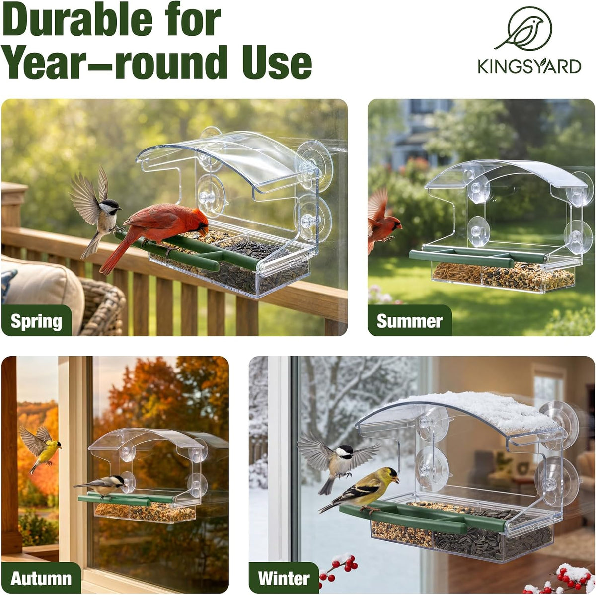 Window Bird Feeder with 4 Extra Strong Suction Cups