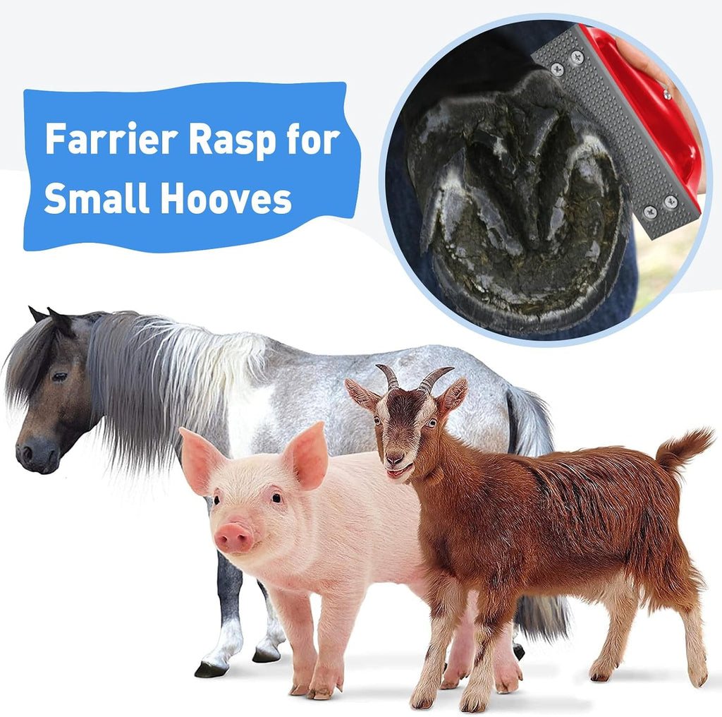 Goat Hoof Rasp File, Farrier Rasp for Small Hooves, Goat and Small Animals