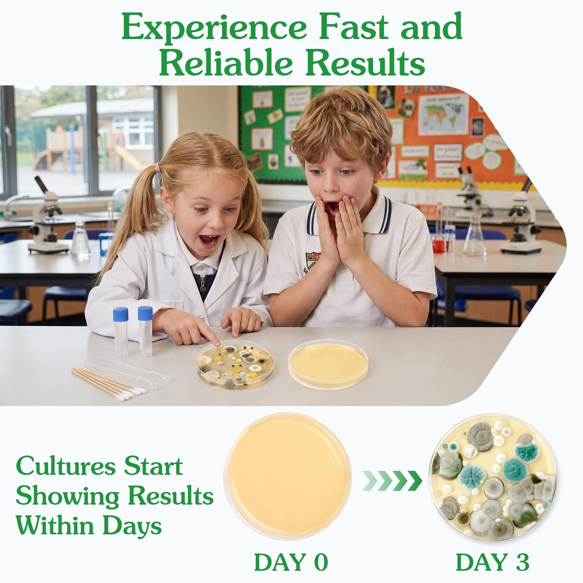 Nutrient Agar Petri Dishes Science Project Kit | Pre-Poured Agar Plates and Cotton Swabs for Science Experiments |