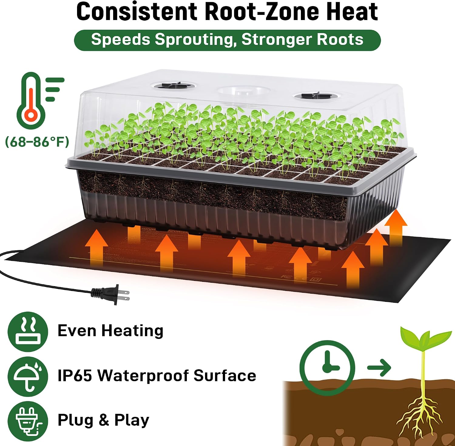 Seed Starter Kit, 60-Cell Tray with Grow Light and Heat Mat | Self-watering seedling tray with humidity dome, indoor