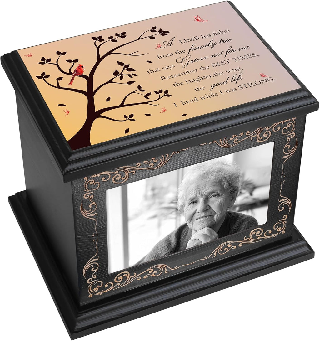 Cremation Urns for Human Ashes Adult Up to 200 IBS with Photo Frame