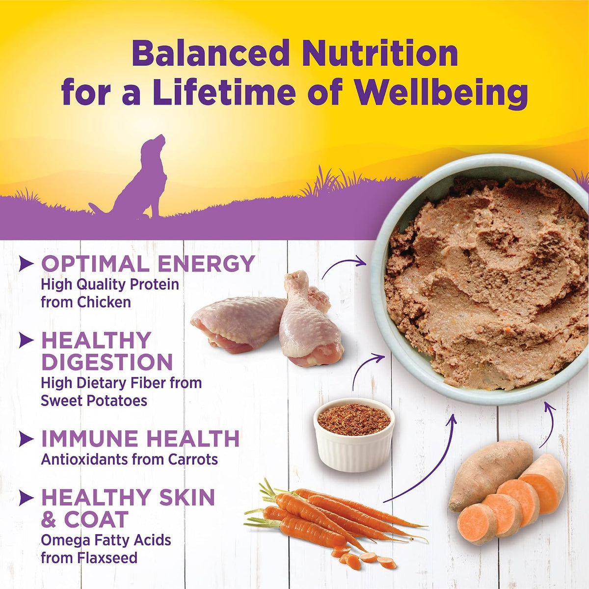 Complete Health Pate Age Advantage Senior Canned Wet Dog Food, Wholesome Grains, Natural, Chicken and Sweet Potato