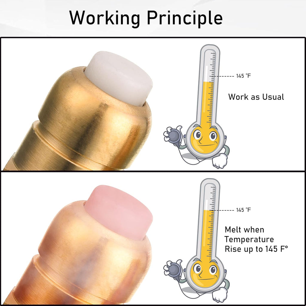 PWACCS Pressure Washer Thermal Relief Valve Kit, 1/4 Inch NPT, 2 Pack