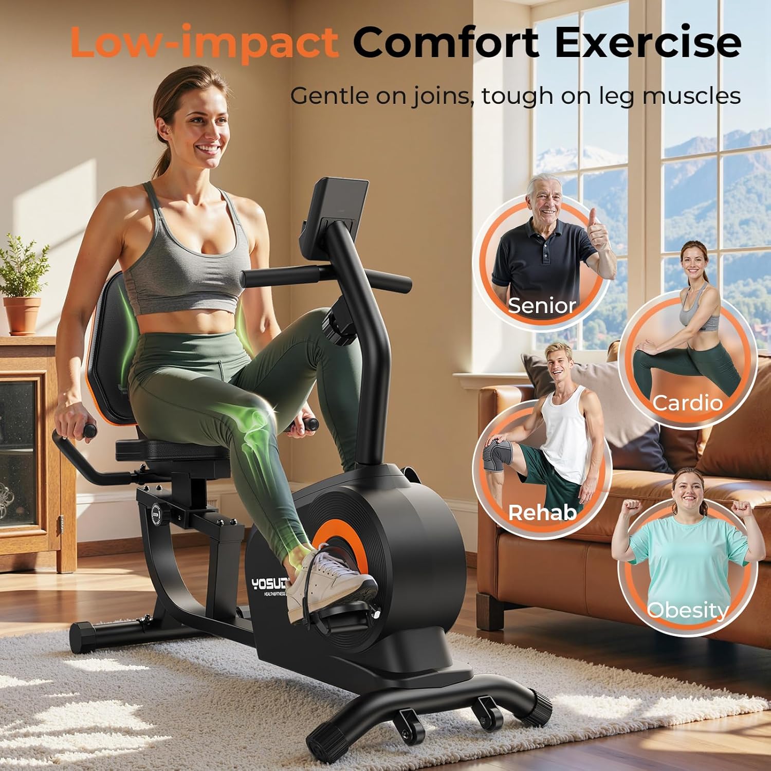 Recumbent Exercise Bike for Home，Magnetic Staionary Bike for Seniors | Quiet Recumbent Bikes with Adjustable Seat