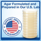 Evviva Sciences Microbiology Science Project Kit, Pre-Poured Agar Plates for Students, Agar Petri Dishes to Learn