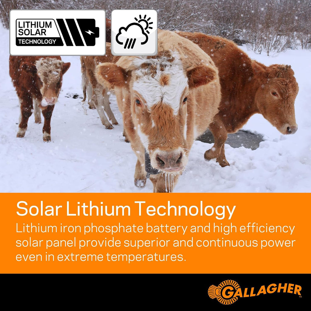 S20 Solar Electric Fence Charger | Powers Up to 2 Miles of Typical Fence | Lithium Battery Technology | 0.2 Joule