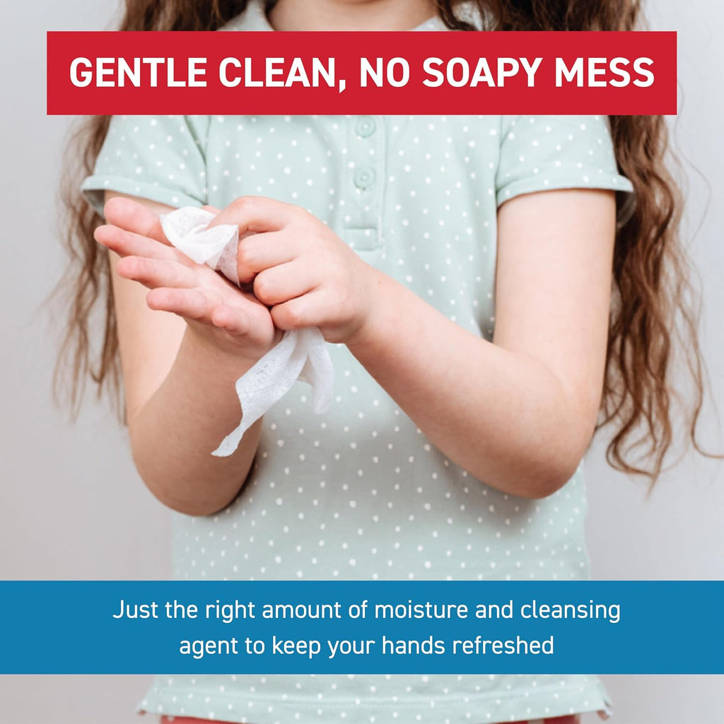 WipeEssentials Hand Sanitizer Wipes for Adults & Kids - 360 Count, 12 Packs | Alcohol-Free, Moisturizing Sanitizing