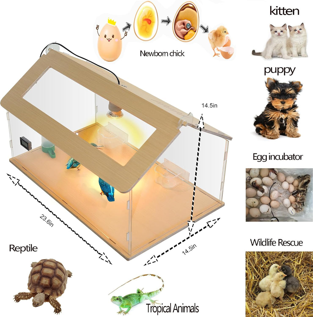 Newborns Chick Brooder Box Quail Cage Bird Playground Chick Starter Kit