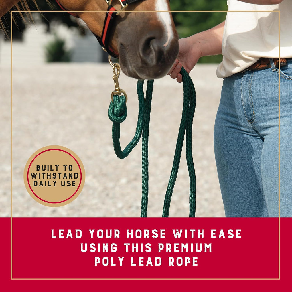 10' Performance Lead Rope, Brass-Plated Snap