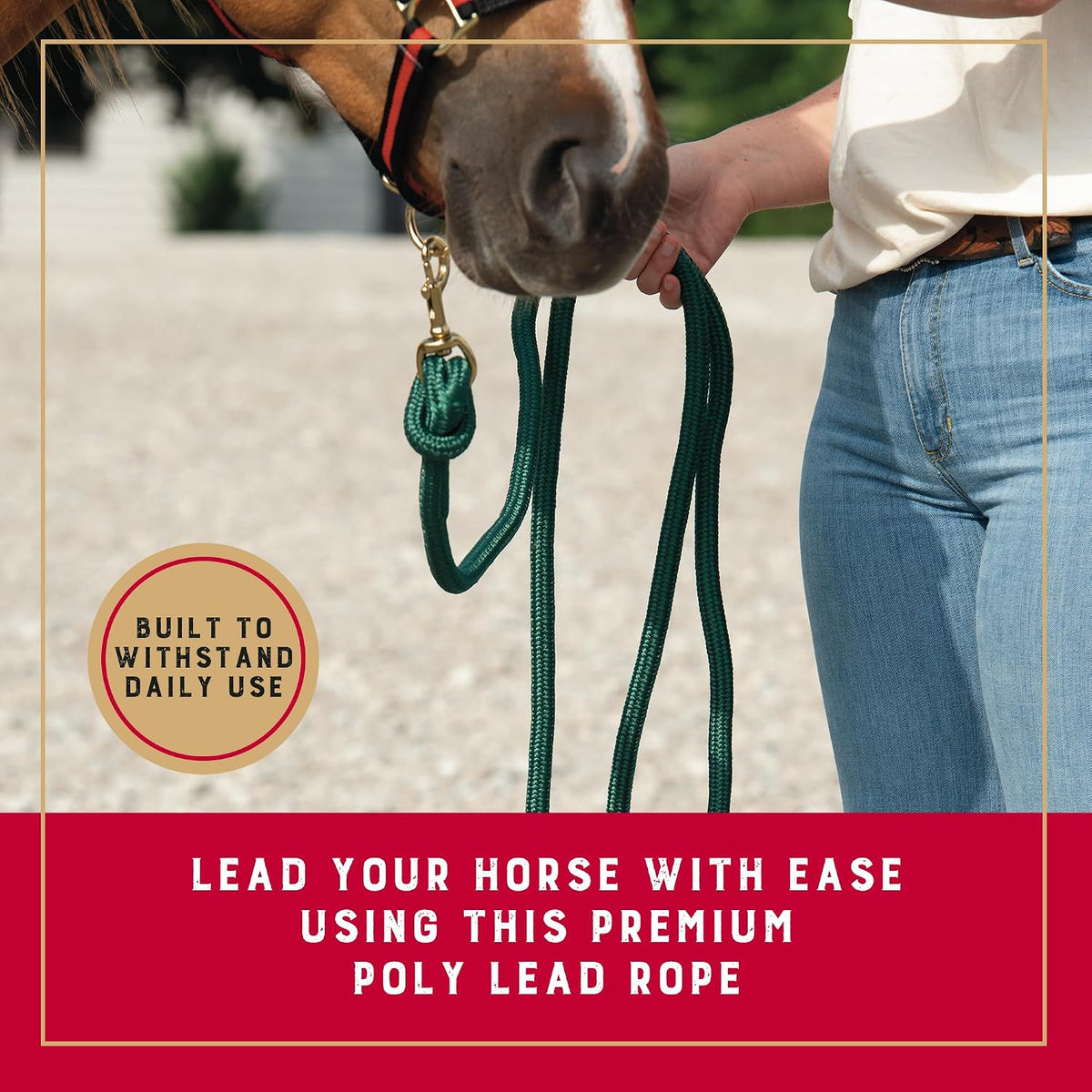 10' Performance Lead Rope, Brass-Plated Snap