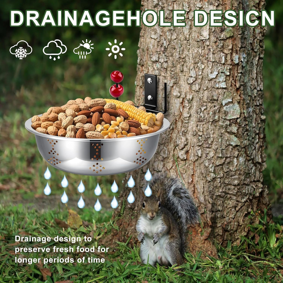Squirrel Feeders for Outside, Metal Squirrel House for Outdoor, Durable Bowl Tree Mounted of Chipmunk Feeder