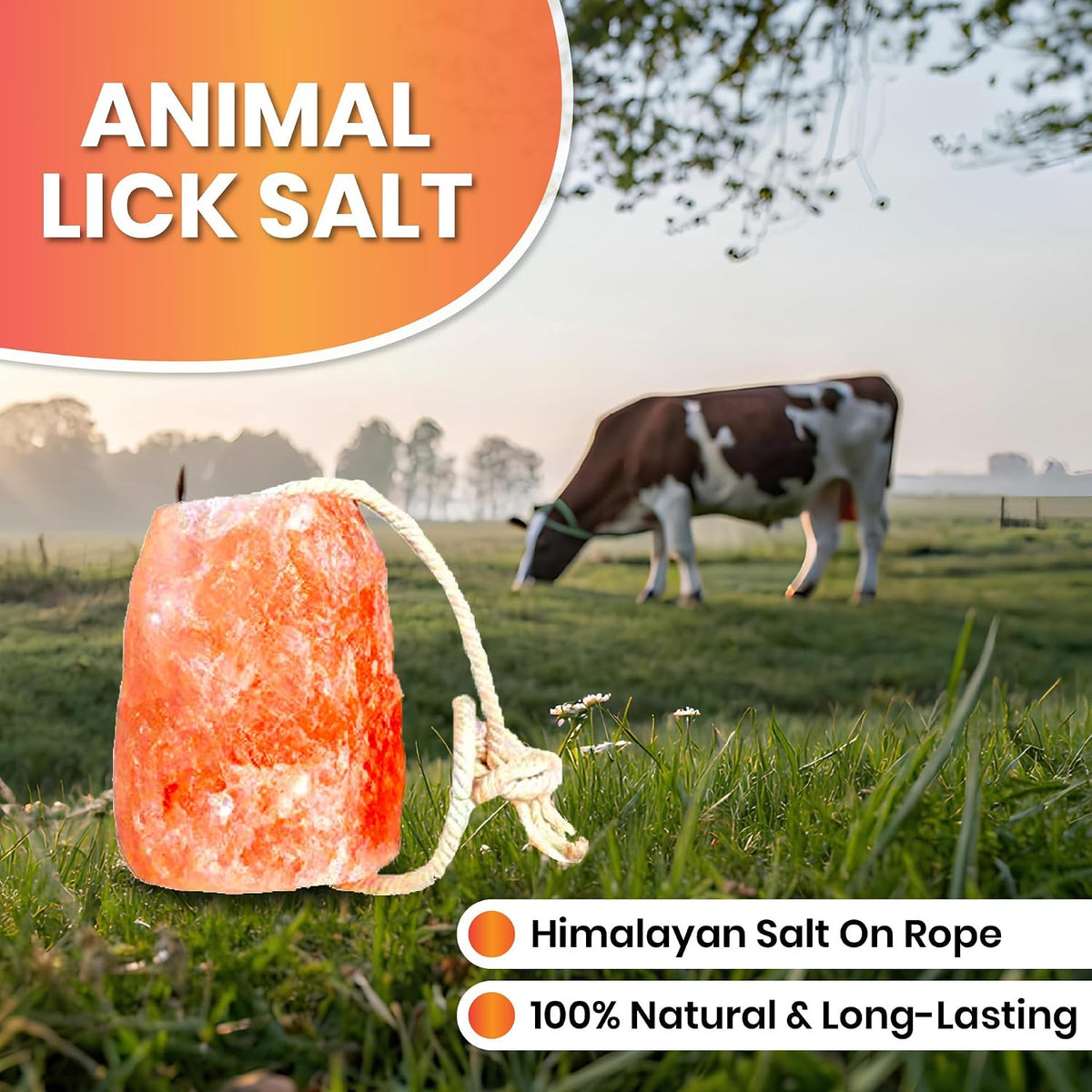 Himalayan Lick Animal Salt Block on Rope, 100% Natural and Organic for Horses/Deer/Livestock- Free of Harmeful