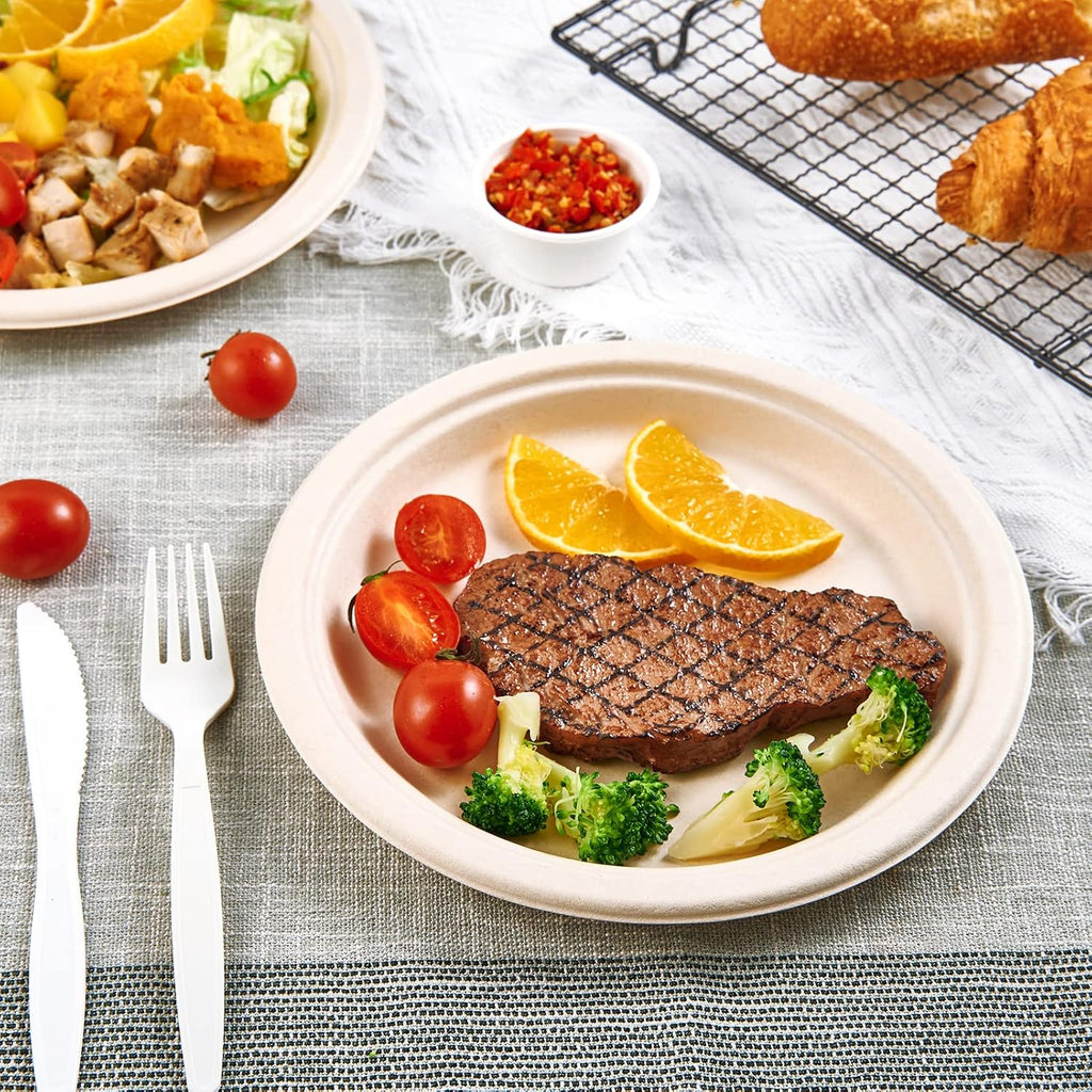 150 Pack Compostable Bagasse Paper Plates 9 inch, Nature