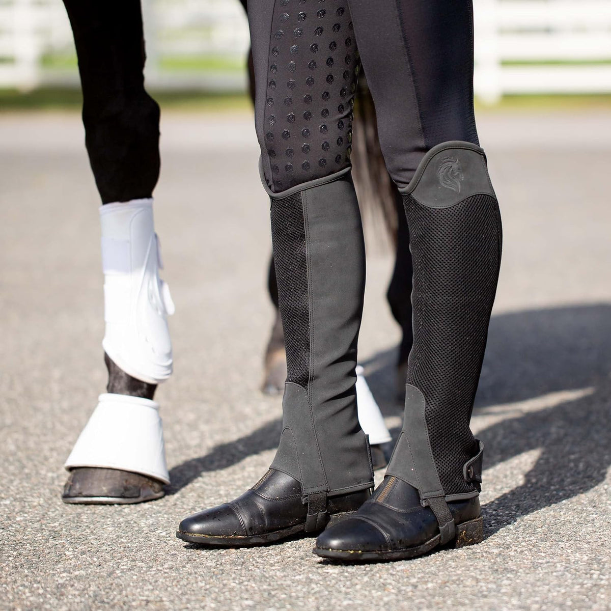 Freya Womens NordicAir Tech Equestrian Half Chaps for Horseback Riding | Breathable Mesh