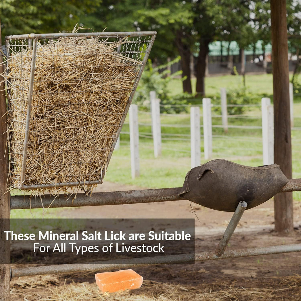 Licking Salt for Horse, 100% Pure Himalayan Pink Salt Chunks, 6 LBS, Animal Feed Salt Chunks, Horse Salt Licks