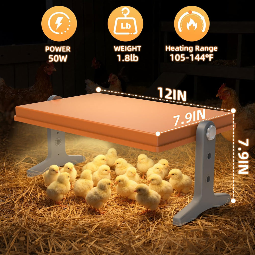 Chick Brooder Heater Plate – 12" x 8" Adjustable Height & Temperature Poultry Warmer for Up to 10 Chicks, Brooder