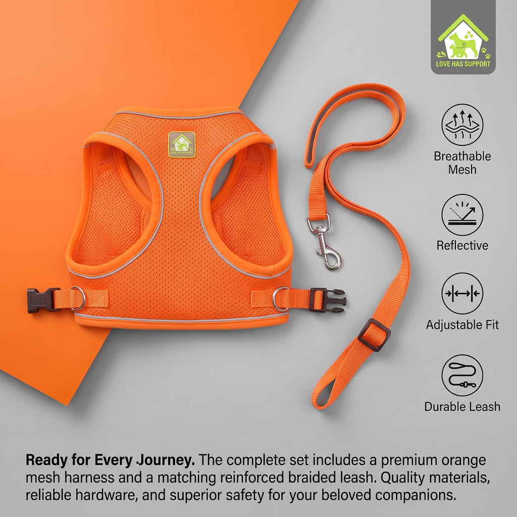 Cat Harness and Leash, Cat Harness and Leash Escape Proof (Blue-M)