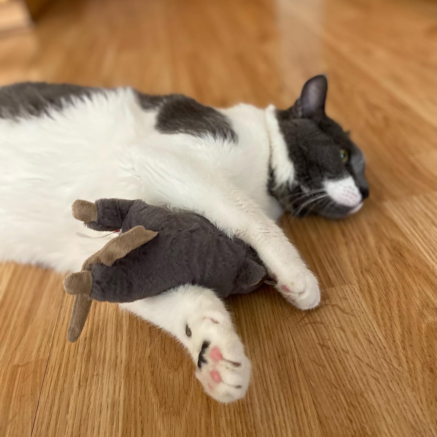 Big Mouse Bertha Cat Toy with Catnip – Lifelike Plush Mouse, Crinkle Sound, Large 7in Size, for Cuddling, Chasing