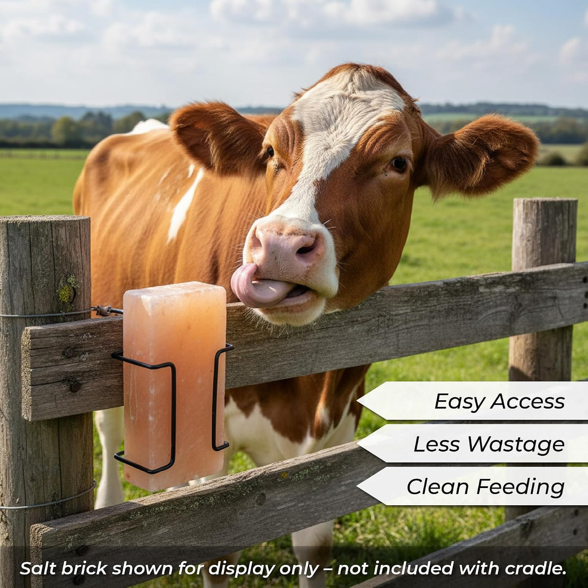 Himalayan Animal Lick Salt Brick Holder, for Deer, Horse and Livestock - Easy to Install – Ideal for Cattle, Horses