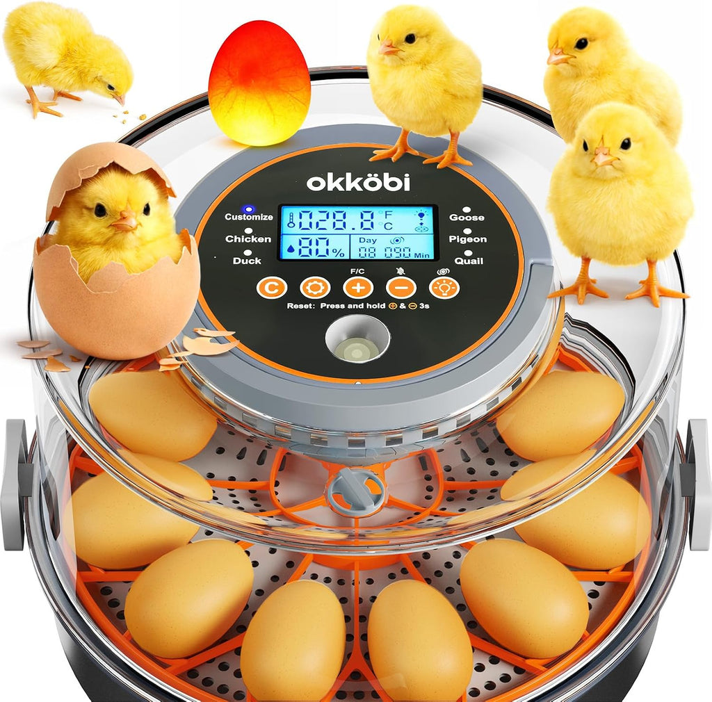 12 Capacity Egg Incubator with Automatic Turning and Candler