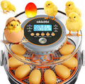 12 Capacity Egg Incubator with Automatic Turning and Candler