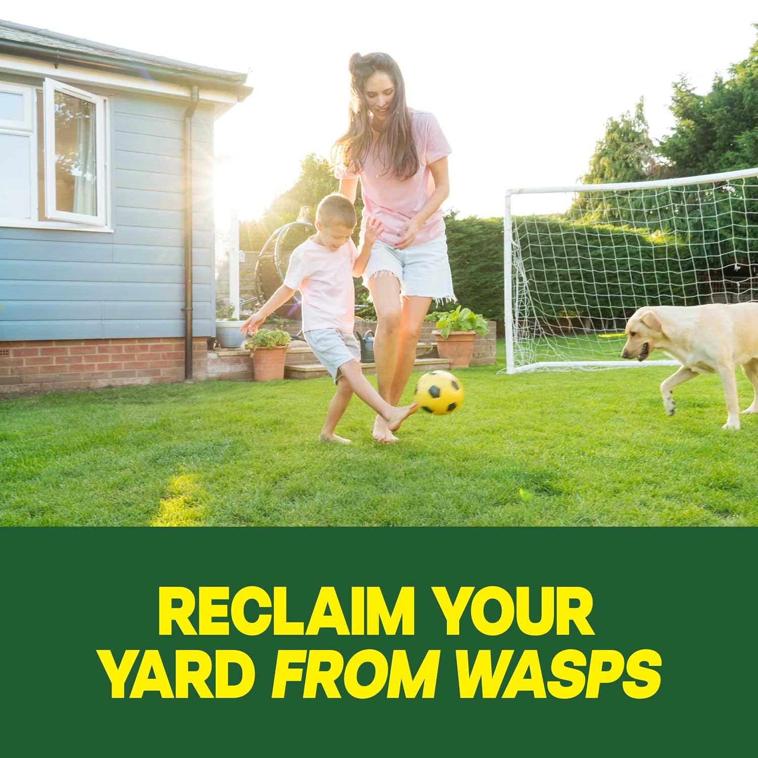 Outdoor Wasp Ground Nest Killer, Dust Insecticide for Outside Household Use, Wasp Killer, Fast-Working and Odorless